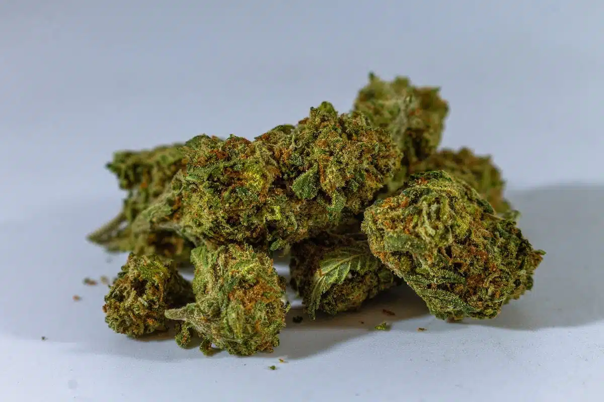 cbd magasin