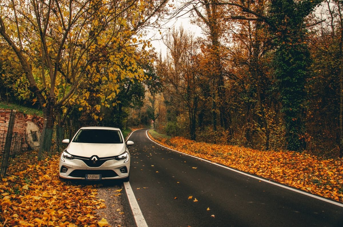 Guide pratique : réinitialiser le système audio de votre Clio 3